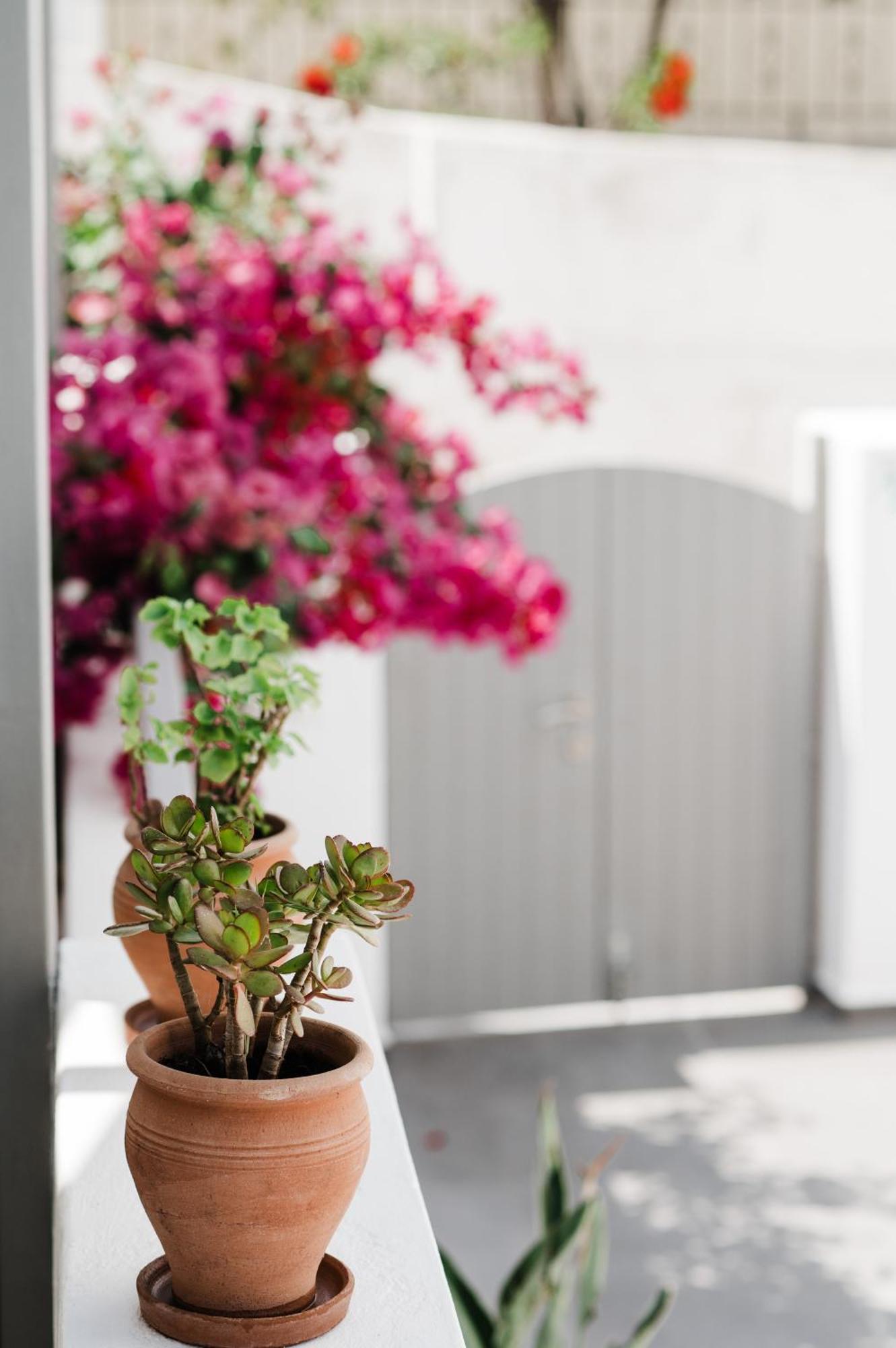 Amphitrite Suites Santorini Вотон Экстерьер фото